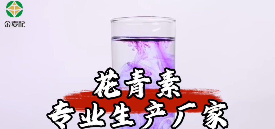金麥杞-花青素專業(yè)生產(chǎn)廠家